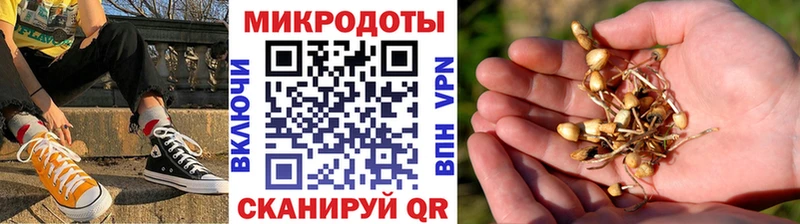 Купить  Стрежевой  Галлюциногенные грибы мицелий 